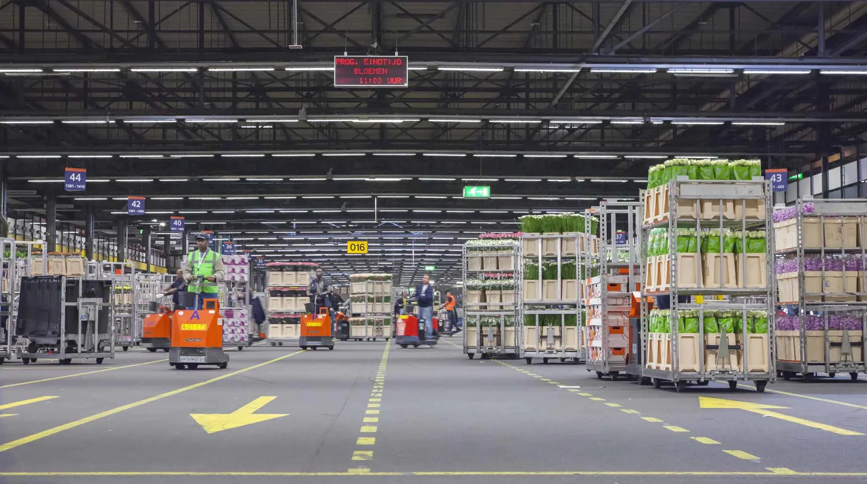 Distributie&logistiek.jpg